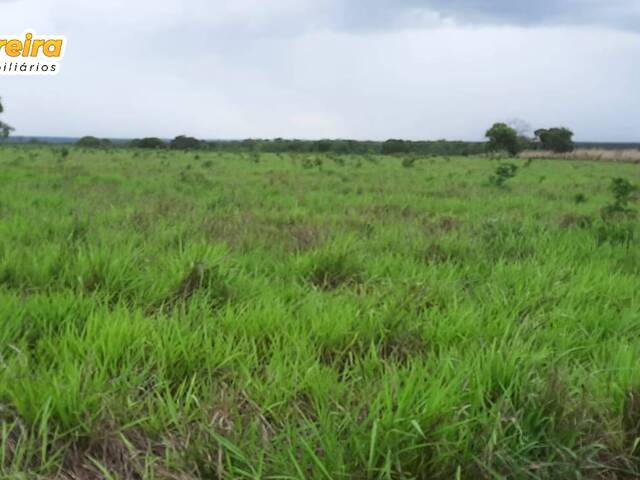 #3210 - Fazenda para Venda em Dueré - TO - 2
