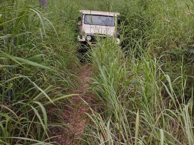 #3291 - Fazenda para Venda em Paranã - TO - 3