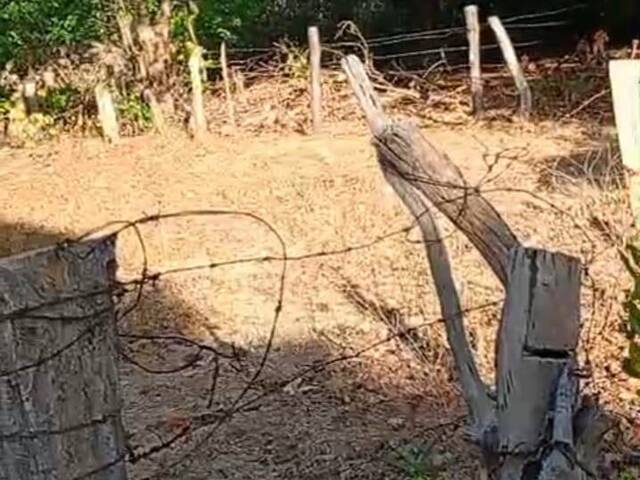 Fazenda para Venda em Lizarda - 4