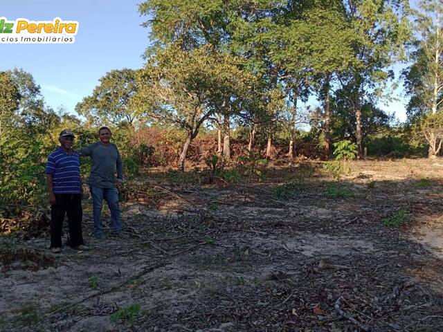 Fazenda para Venda em Lizarda - 5