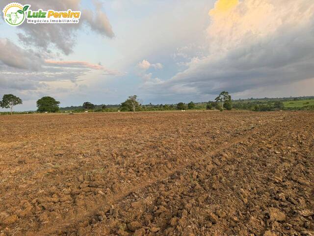 Venda em Palmares - Jacundá