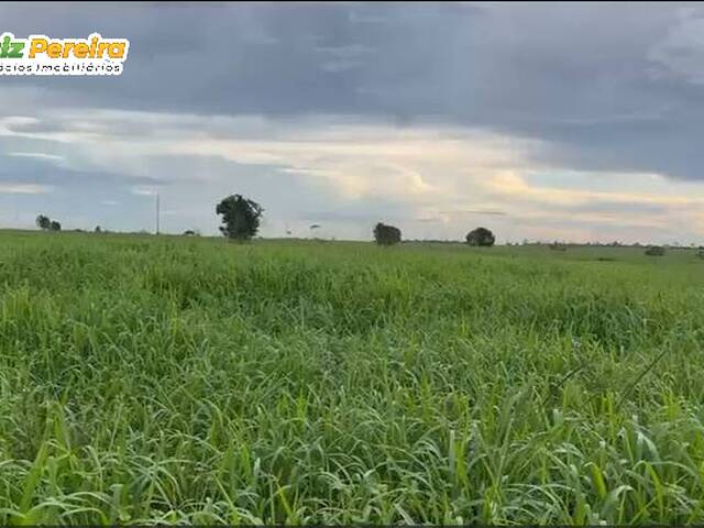 Fazenda para Venda em Jacundá - 5