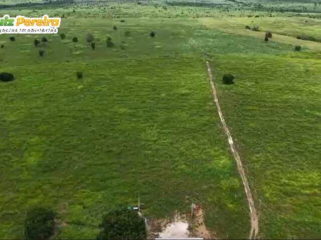 Fazenda para Venda em Jacundá - 4
