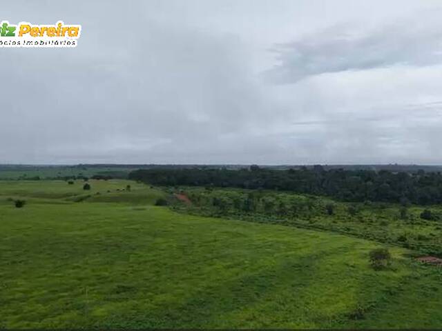 #3294 - Fazenda para Venda em Jacundá - PA - 1