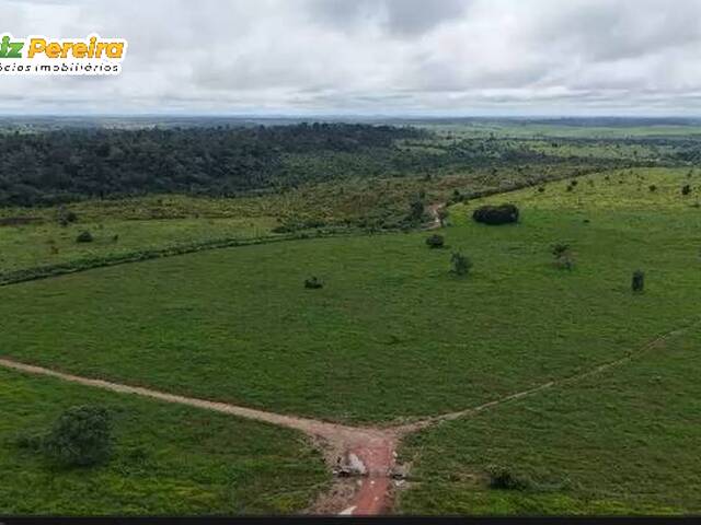 #3294 - Fazenda para Venda em Jacundá - PA - 3
