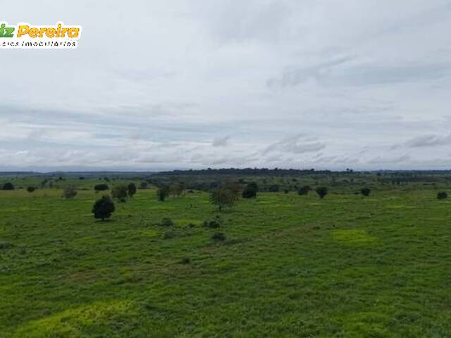#3294 - Fazenda para Venda em Jacundá - PA - 2