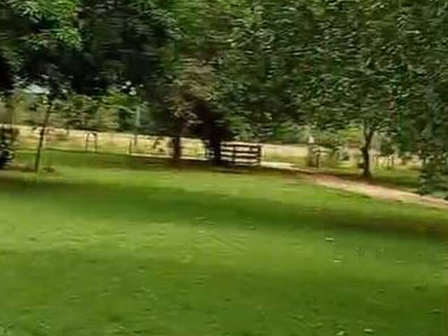 #3295 - Fazenda para Venda em Coxim - MS - 1