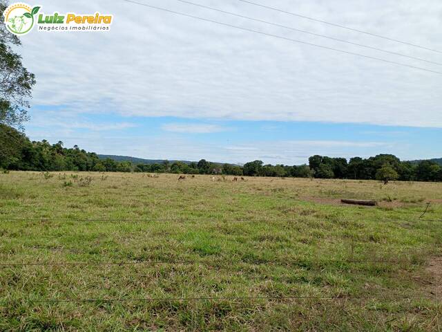 #3295 - Fazenda para Venda em Coxim - MS - 2