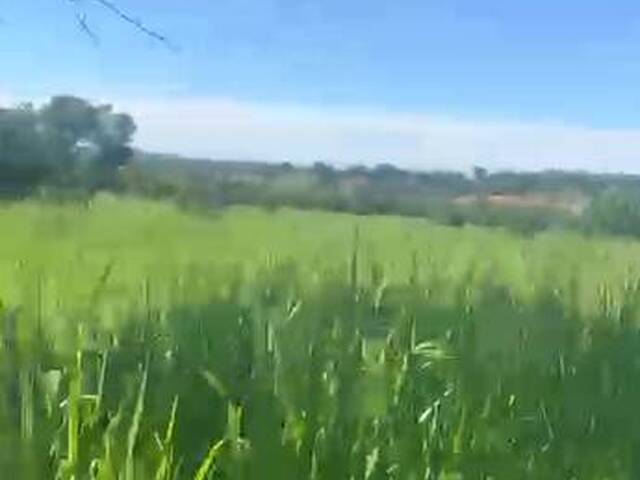 #3296 - Fazenda para Venda em Coxim - MS - 2