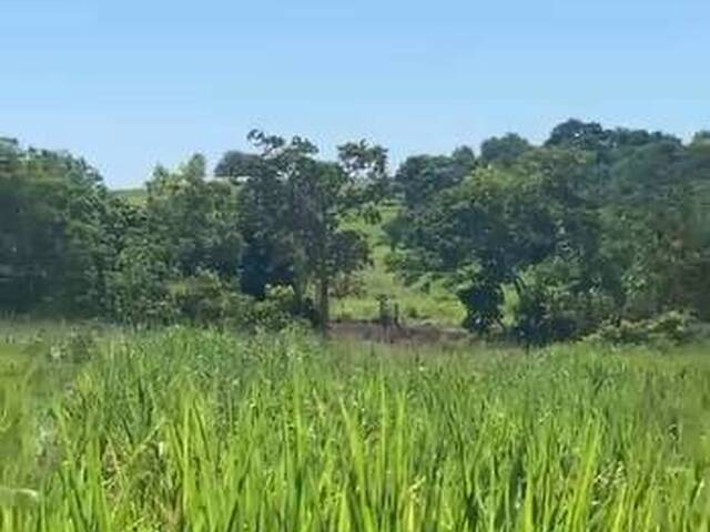 #3296 - Fazenda para Venda em Coxim - MS - 3