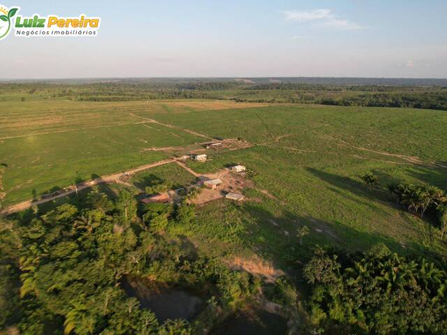 Fazenda para Venda em Breu Branco - 2