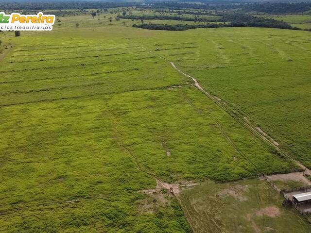Fazenda para Venda em Breu Branco - 3