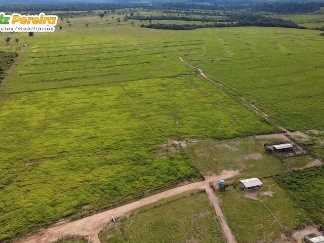 Fazenda para Venda em Breu Branco - 4