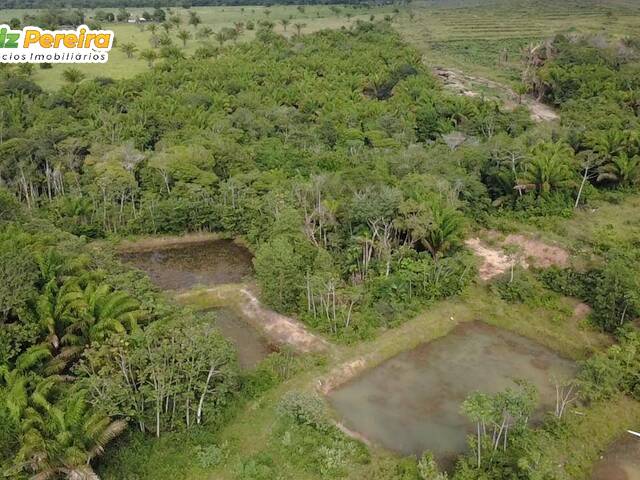 Fazenda para Venda em Breu Branco - 5