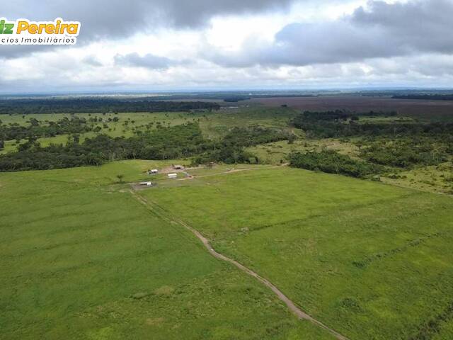 Fazenda para Venda em Breu Branco - 2