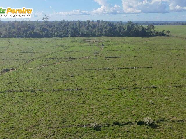 Fazenda para Venda em Brasil Novo - 5