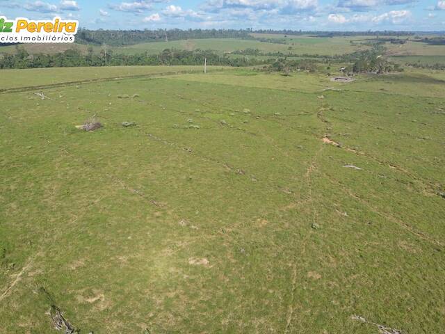 Fazenda para Venda em Brasil Novo - 4