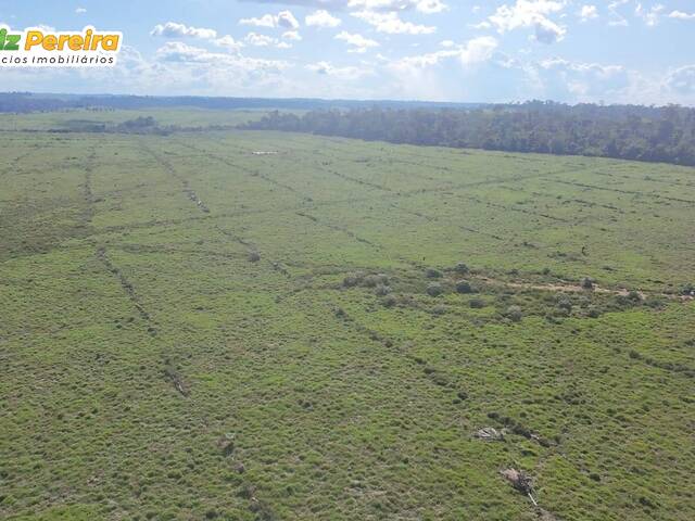 #3299 - Fazenda para Venda em Brasil Novo - PA
