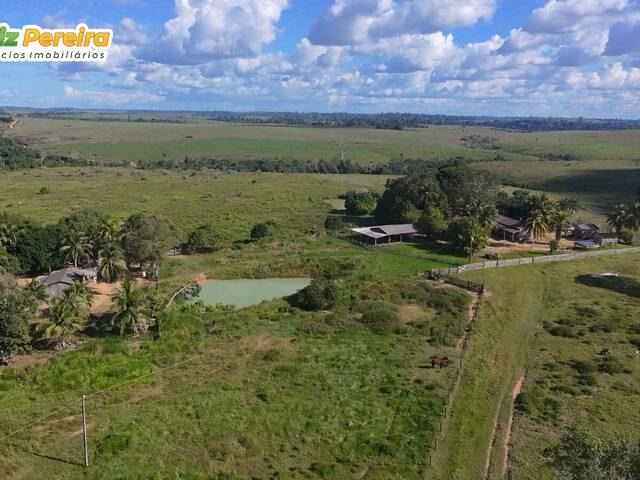 #3299 - Fazenda para Venda em Brasil Novo - PA - 1