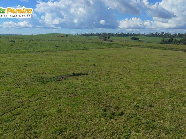 #3299 - Fazenda para Venda em Brasil Novo - PA - 2