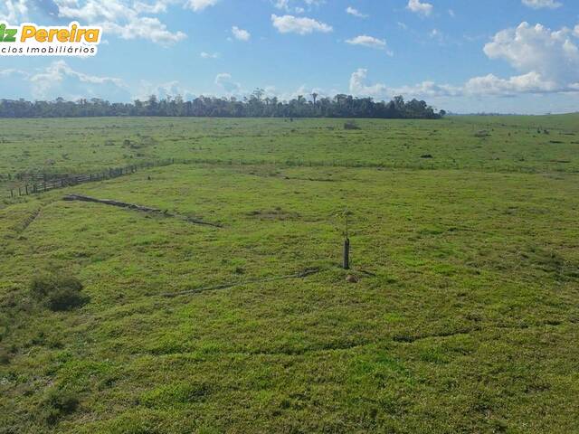 #3299 - Fazenda para Venda em Brasil Novo - PA - 3