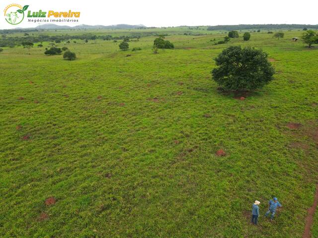 #3300 - Fazenda para Venda em Conceição do Araguaia - PA - 1