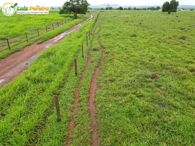 #3300 - Fazenda para Venda em Conceição do Araguaia - PA - 2