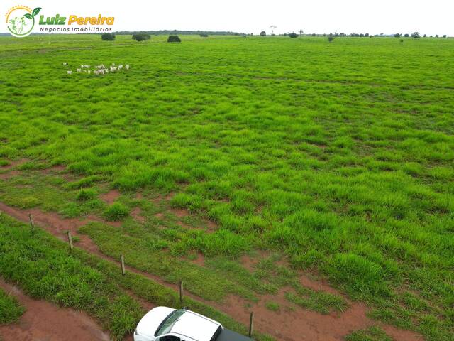 #3300 - Fazenda para Venda em Conceição do Araguaia - PA - 3