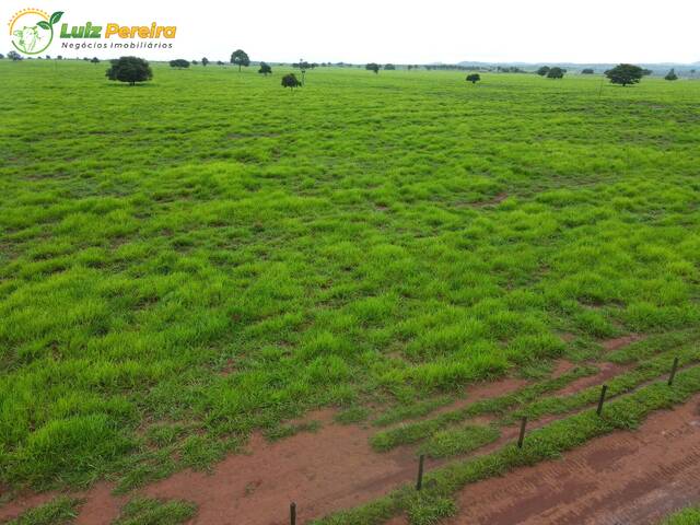 Fazenda para Venda em Conceição do Araguaia - 4