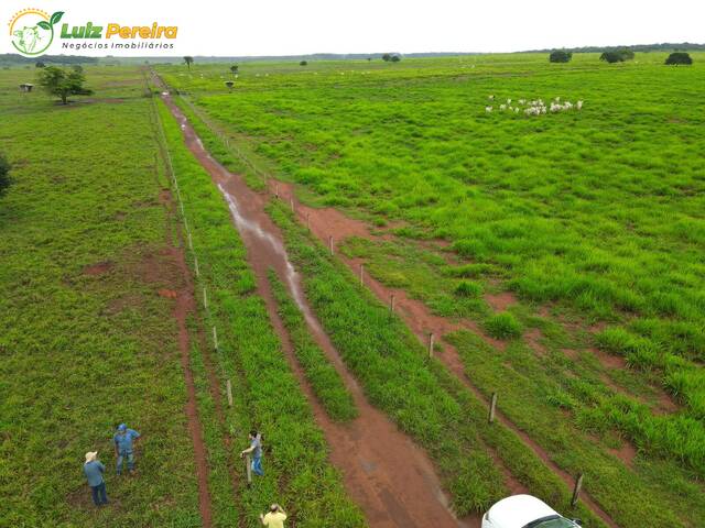 Fazenda para Venda em Conceição do Araguaia - 5