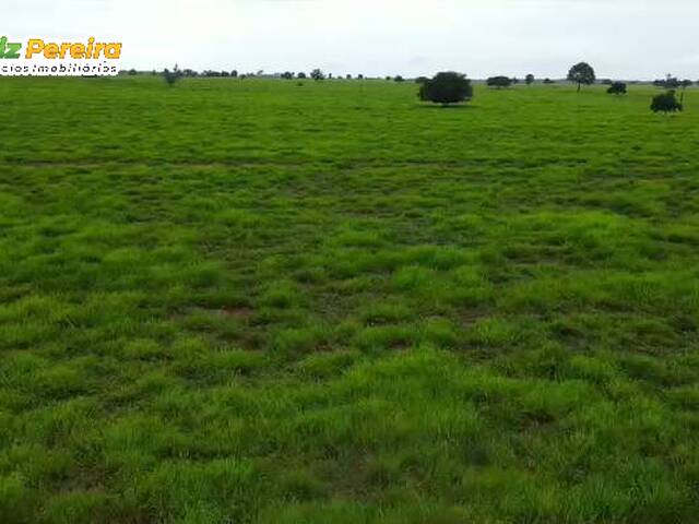 #3225 - Fazenda para Venda em São Valério da Natividade - TO - 2