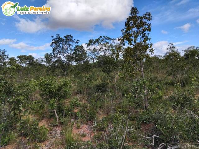 #3301 - Fazenda para Venda em Lizarda - TO - 2