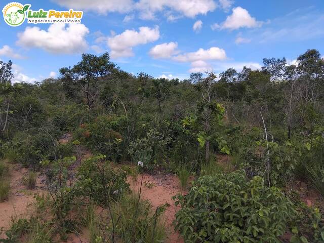 #3301 - Fazenda para Venda em Lizarda - TO - 3