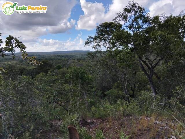 Fazenda para Venda em Lizarda - 4