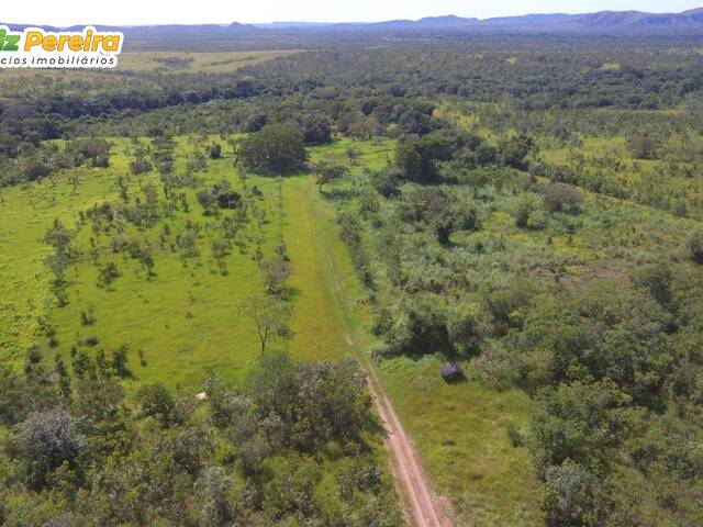 #3302 - Fazenda para Venda em Almas - TO - 1