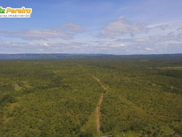 #3302 - Fazenda para Venda em Portel - PA - 3