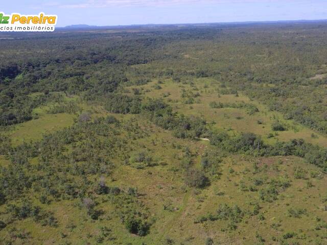 #3302 - Fazenda para Venda em Portel - PA - 2