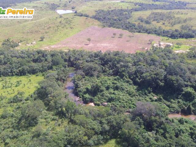 #3302 - Fazenda para Venda em Portel - PA - 1