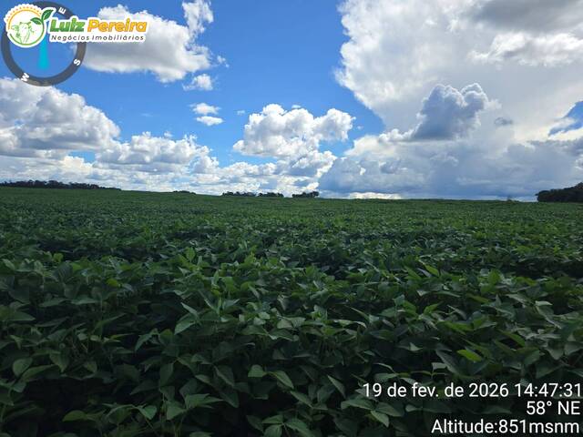 #3281 - Fazenda para Venda em São João do Paraíso - MA - 2