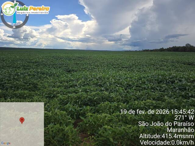 #3281 - Fazenda para Venda em São João do Paraíso - MA - 1