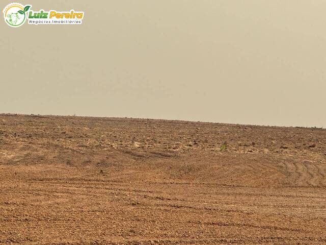 #3303 - Fazenda para Venda em Portel - PA - 3