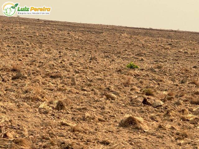 #3303 - Fazenda para Venda em Alto Boa Vista - MT - 1