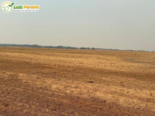 #3303 - Fazenda para Venda em Portel - PA - 1