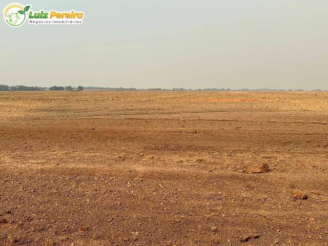 #3303 - Fazenda para Venda em Portel - PA - 2