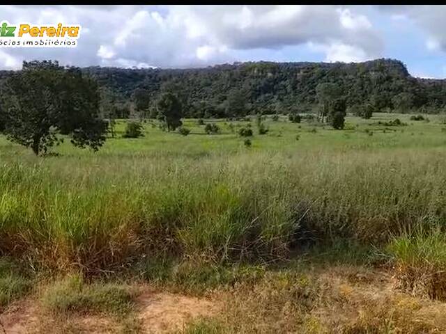 #3304 - Fazenda para Venda em Portel - PA - 1