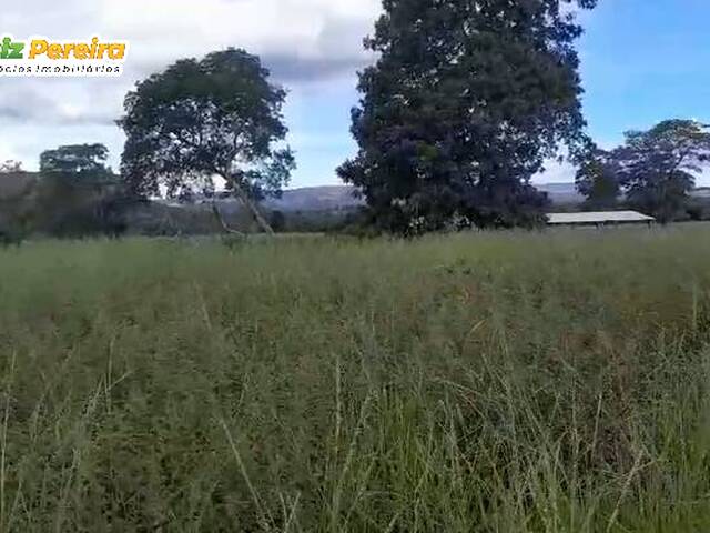 #3304 - Fazenda para Venda em Portel - PA - 3