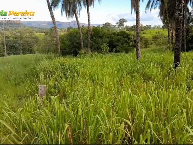 #3304 - Fazenda para Venda em Portel - PA - 2