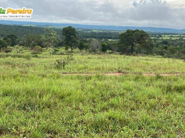 #3304 - Fazenda para Venda em Coxim - MS - 2