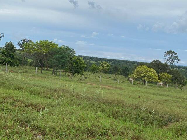 #3304 - Fazenda para Venda em Coxim - MS - 1