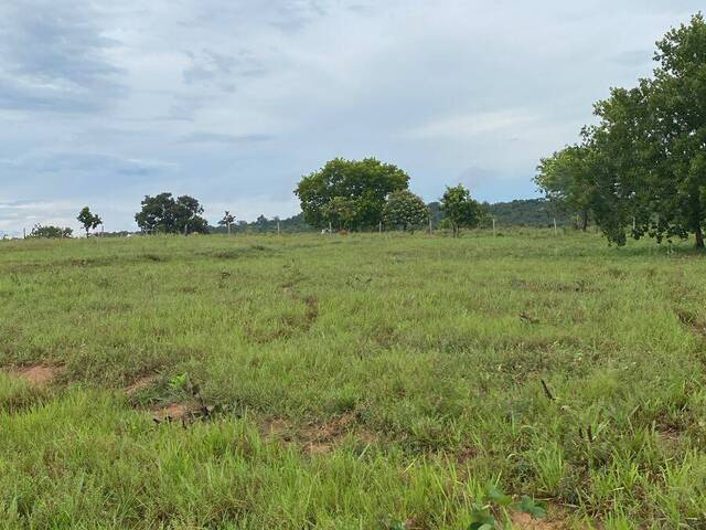 Fazenda para Venda em Coxim - 5